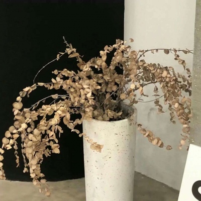 Furry插画元素搭配兽圈群